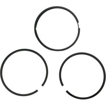 Fiac - Италия Комплект сегменти d59 за пневмо групи fiac ab360, ab410-510-512 (за 1 бутало), 4080120000