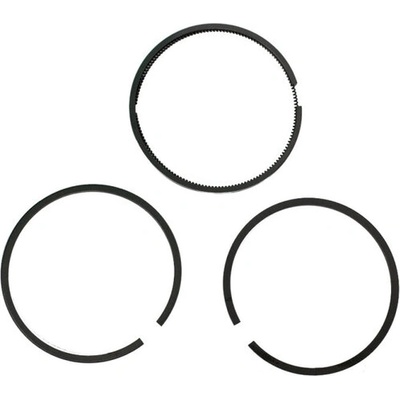 Fiac - Италия Комплект сегменти d59 за пневмо групи fiac ab360, ab410-510-512 (за 1 бутало), 4080120000