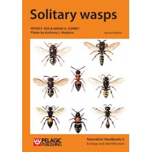 Solitary wasps