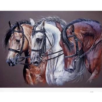 Image 1 of Коне Рисуване по номера