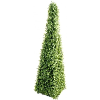 BUXUS NEW PYRAMIDA 4 STRANY, 160cm
