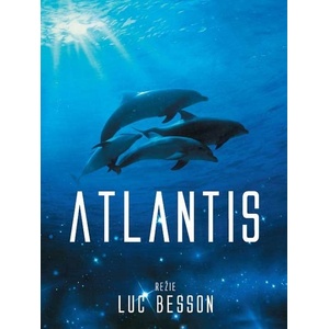 DM discont Atlantis (019130)