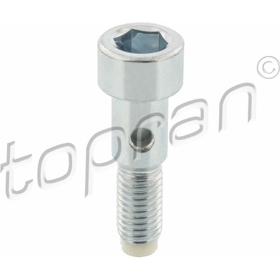 Dutý šroub TOPRAN 305 964