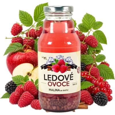 Nature Notea Ledové ovoce Malina se skořicí 330 ml