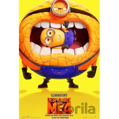 Ja, zloduch 4 DVD