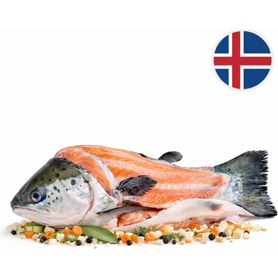 Boxxi Islandský losos skelet na polévku mražený 700 g