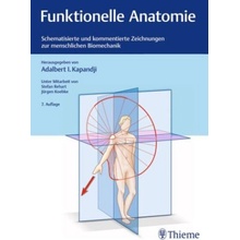 Funktionelle Anatomie der Gelenke