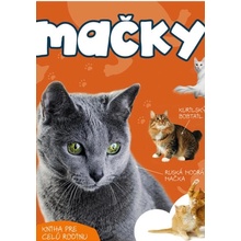 Mačky