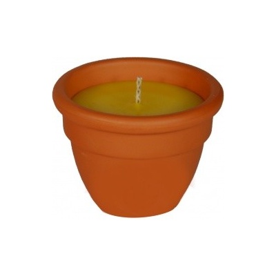 Admit Citronella 140 g