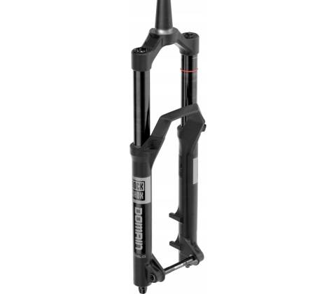 RockShox Domain