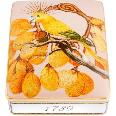 Vista Alegre - darčekový box, 15 x 11 cm - Amazonia Ecoarts