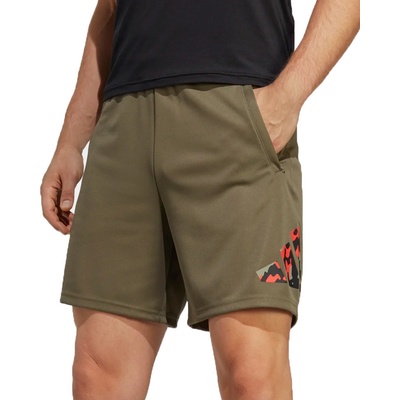 adidas Seasonal Training shorts zelená
