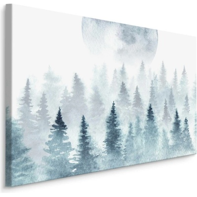 Plátno Měsíc Nad Mlžným Lesem Varianta: 70x50