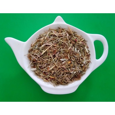 Centrum bylin ZEMĚŽLUČ LÉKAŘSKÁ nať sypaný bylinný čaj 1 kg