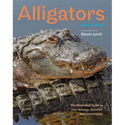 Alligators | Kent A Vliet