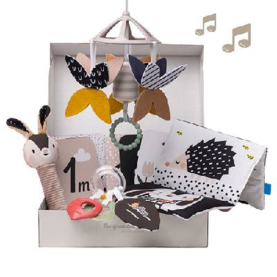 Комплект за новородено Taf Toys - Черно бели елементи, 10 части (TT13475)
