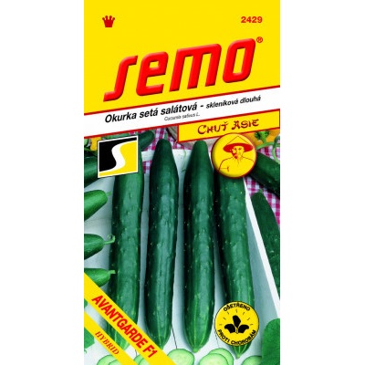 Semo Uhorka šalátová do skleníka - Avantgarde F1 10s - séria Ázie