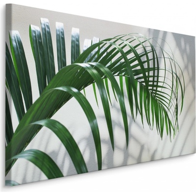 MyBestHome BOX Plátno Zelený Palmový List S 3D Efektem Varianta: 120x80