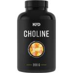 KFD Nutrition Choline Pure Powder [200 грама]
