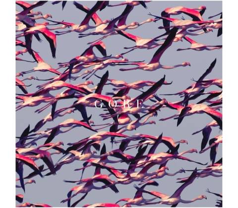 Deftones - Gore