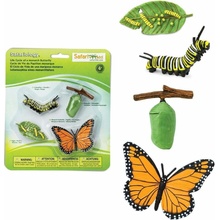 Safari Ltd Životný cyklus Motýľ