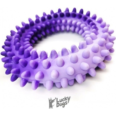 SUM-PLAST Kruh s bodlinami plovací 14 cm
