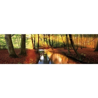 Preinterier FT5636 Fototapeta na stenu Jesenný les vlies 620cm x 219cm