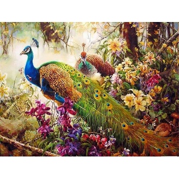 Image 1 of Диамантен Гоблен "Пауни" - 40 x 50 см, Кръгли мъниста