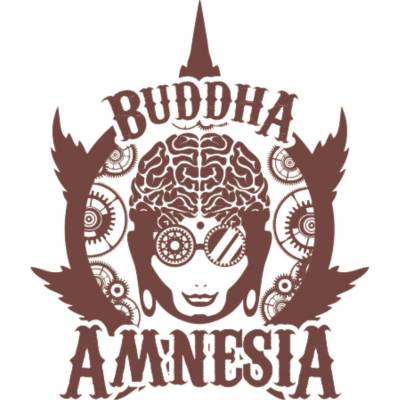 Buddha Seeds Amnesia semienka neobsahujú THC 3 ks