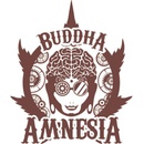 Buddha Seeds Amnesia semena neobsahují THC 3 ks