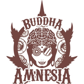 Buddha Seeds Amnesia semena neobsahují THC 3 ks