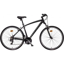 Mayo XR Basic 2025