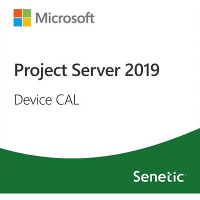 Microsoft Project Server 2019 Device CAL DG7GMGF0F4LF-0003
