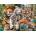 Ravensburger - Puzzle Big Cat Nap XXL - 200 piese