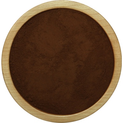 Diana Company Huba Chaga prášok 5000 g