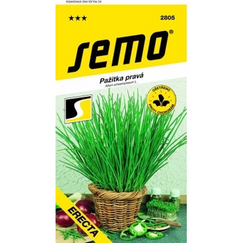 Semo Pažítka - erecta, vzpriamená 2g
