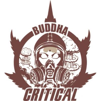Buddha Seeds Critical semienka neobsahujú THC 3 ks