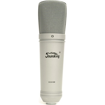 Soundking EC01