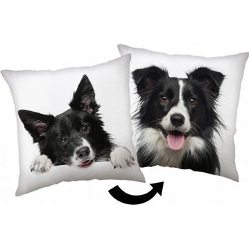 Jerry Fabrics vankúš Border kólia 40x40