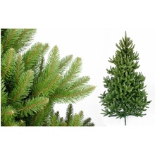 Foxigy Vianočný stromček Smrek Divoký 250cm