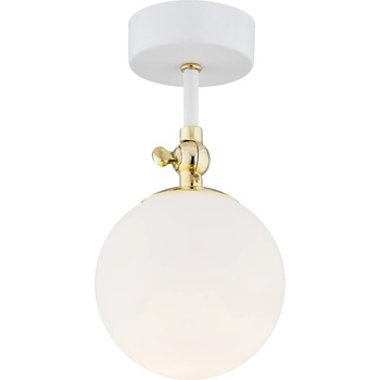 Image 1 of Argon LATINA 4002