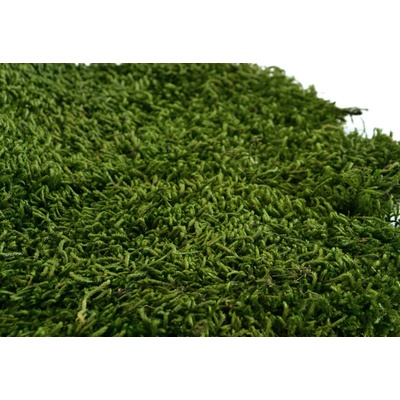 Stabilizovaný plochý mach LONG - zelený Váha: 1kg