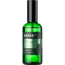 Asoa Hydrolát Šťáva z Aloe 100 ml