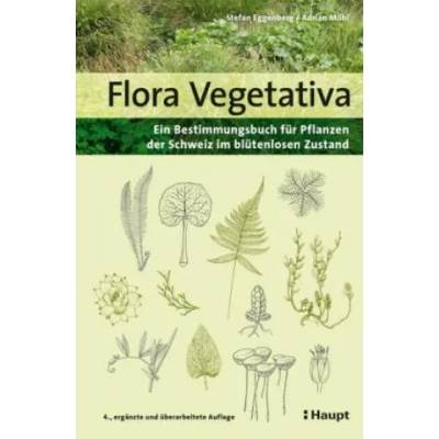 Flora Vegetativa | Adrian Möhl