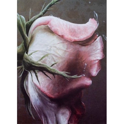 Fandy Fotoalbum 9 x 13 cm - 200 fotek - Floret 1 - 235685 1