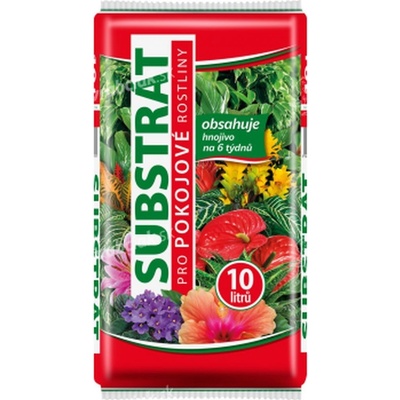 Forestina Standard Pokojové rostliny 10 l
