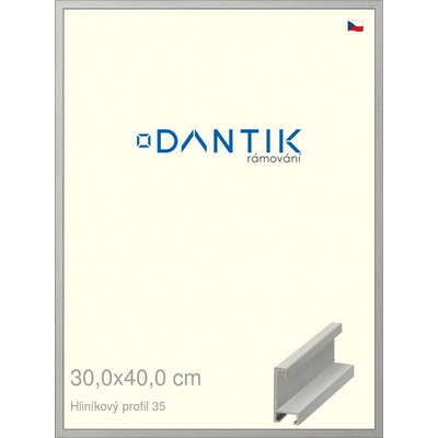 DANTIK rám na obraz 30 x 40 Dýha barevná šedá