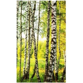DIMEX ART s. r. o Флизелинов фототапет брезова гора 150 x 250 см