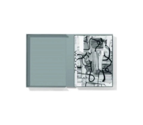Christopher Wool
