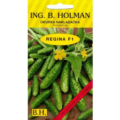 Uhorky nakl. Regina F1 H 2,5 g HOLMAN